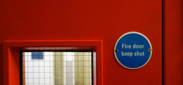 Safety Meets Sustainability: Why Our Fire Doors Use Only FSC-Certified Timber